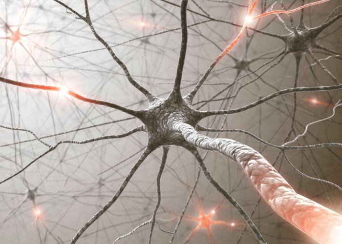Servizio di neuropsicomotricità al Centro Emovere di Alghero